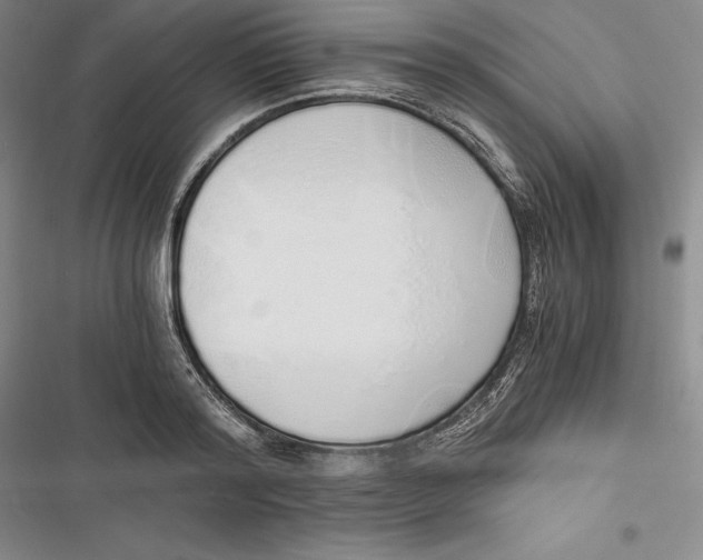 X0000116860796201001121240