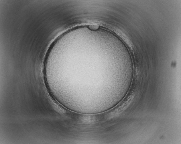 X0000116860797201001121240