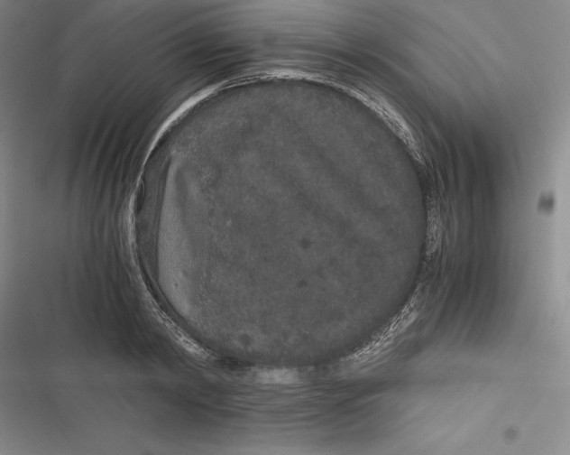 X0000116860798201001121239