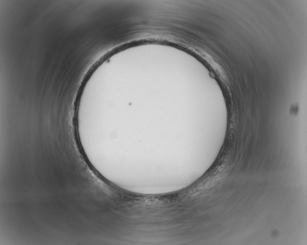 X0000116860799201001121239