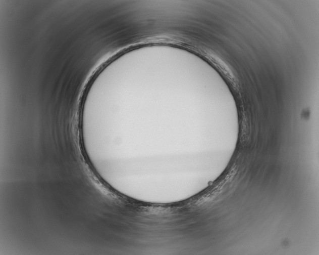 X0000116860800201001121239