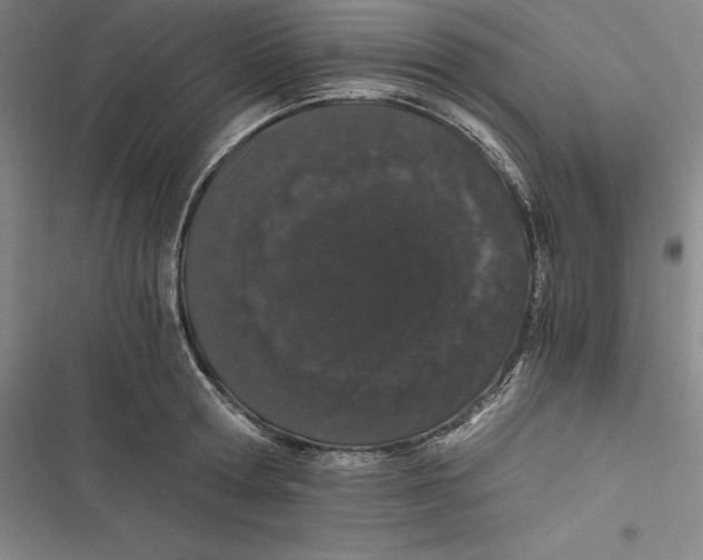 X0000116860802201001121239