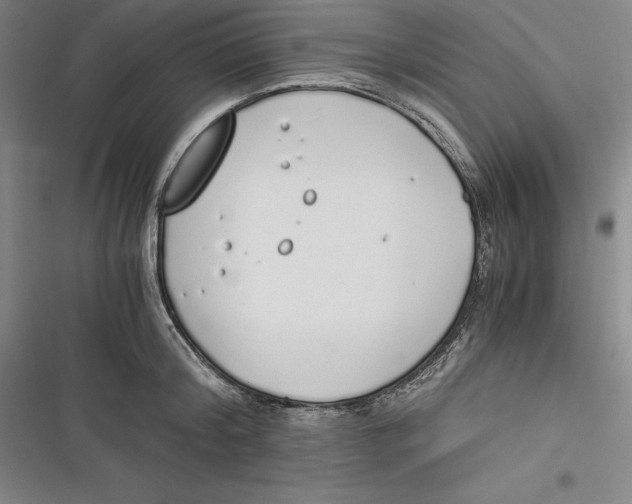 X0000116860804201001121239