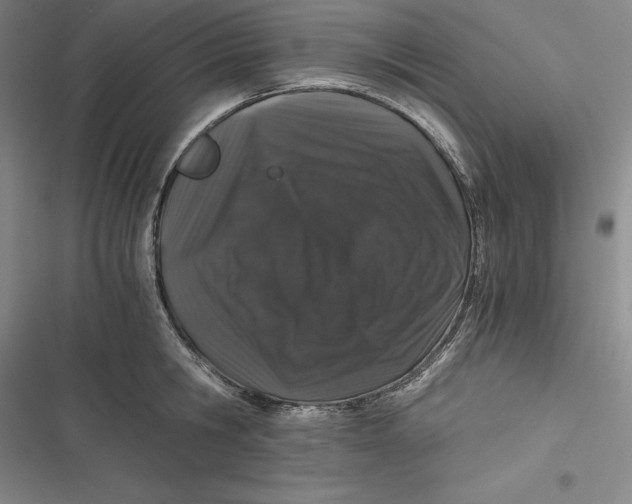 X0000116860806201001121239