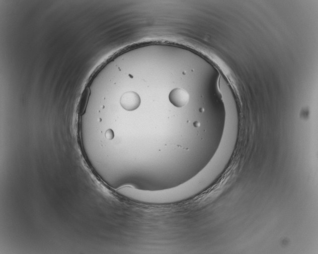 X0000116860807201001121239