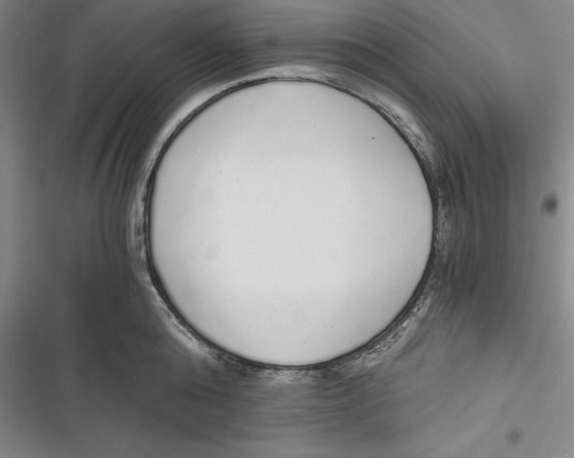 X0000116860808201001121239