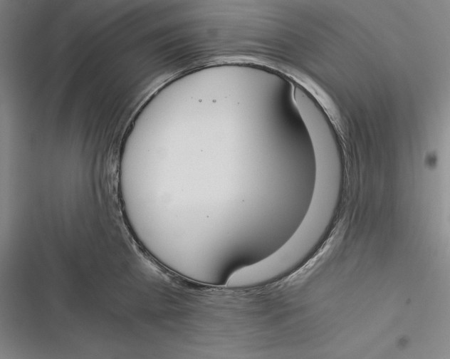 X0000116860809201001121239