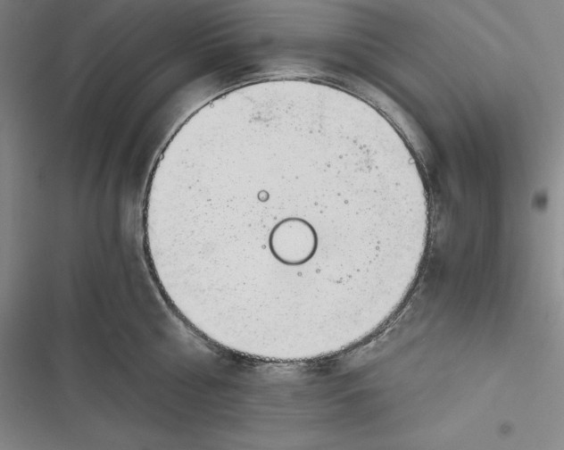 X0000116860810201001121239