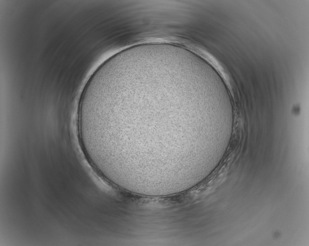 X0000116860811201001121239