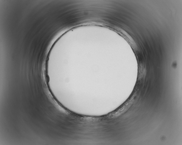 X0000116860812201001121239