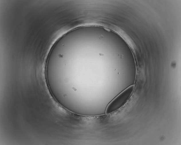 X0000116860813201001121239