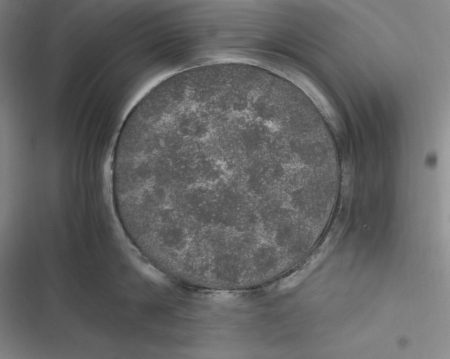 X0000116860814201001121239