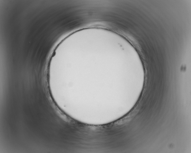 X0000116860816201001121239