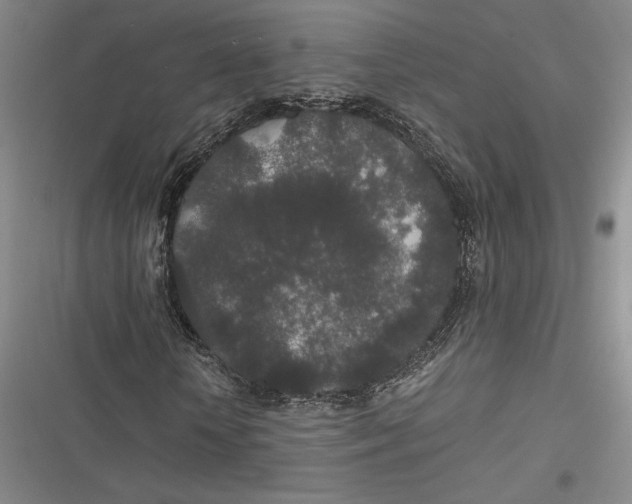 X0000116860818201001121239