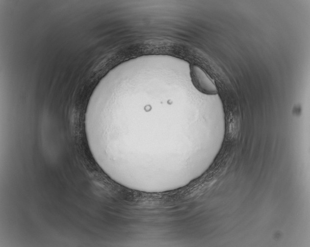 X0000116860819201001121239