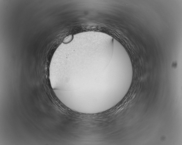 X0000116860820201001121239