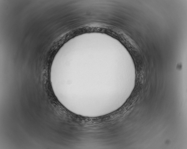 X0000116860821201001121239