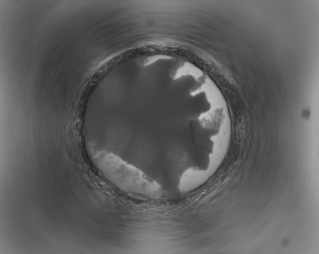 X0000116860822201001121239