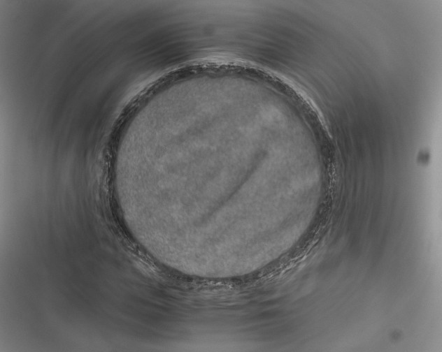 X0000116860823201001121239