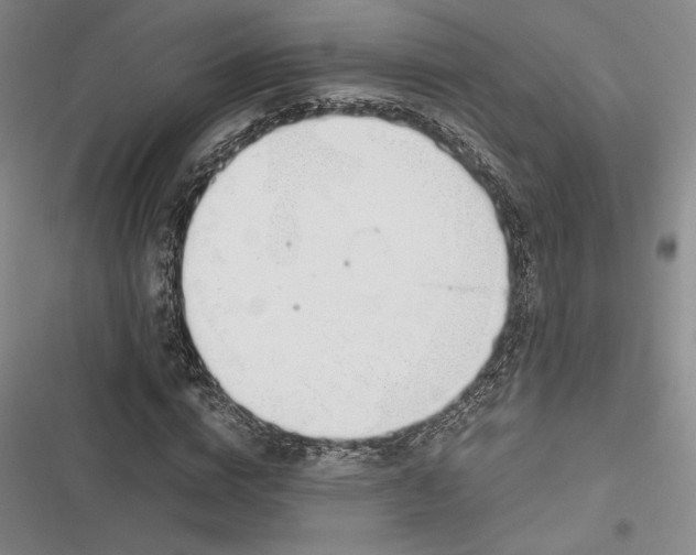 X0000116860824201001121239