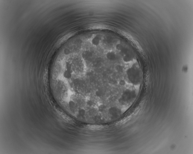 X0000116860825201001121239