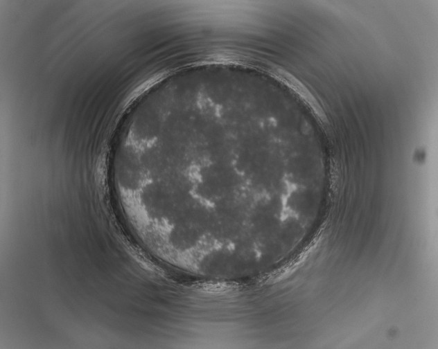 X0000116860826201001121239