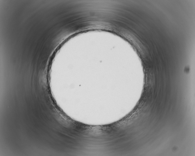 X0000116860828201001121239