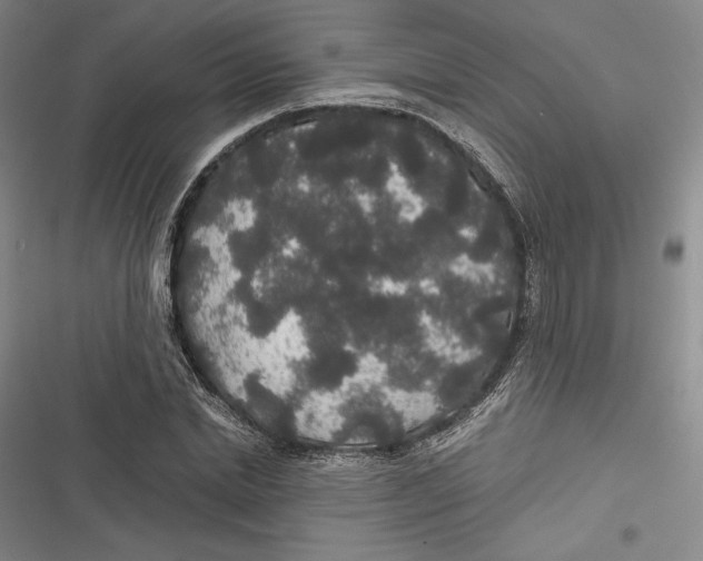 X0000116860830201001121239