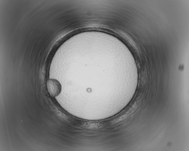 X0000116860831201001121239