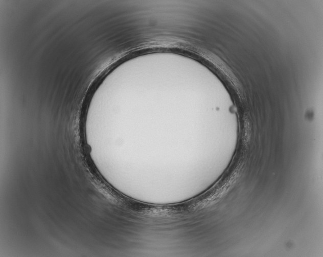 X0000116860834201001121239