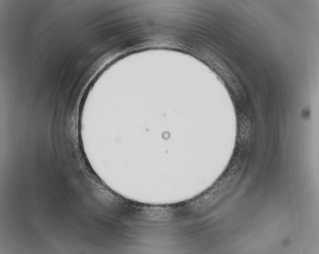 X0000116860836201001121239