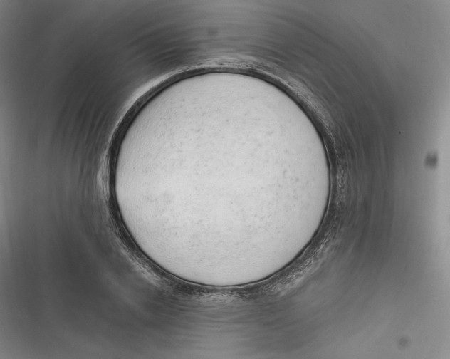 X0000116860838201001121239