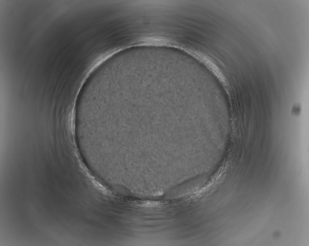 X0000116860839201001121239