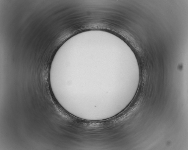 X0000116860841201001121239