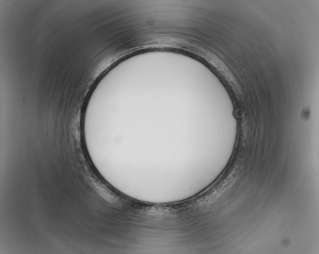 X0000116860842201001121239