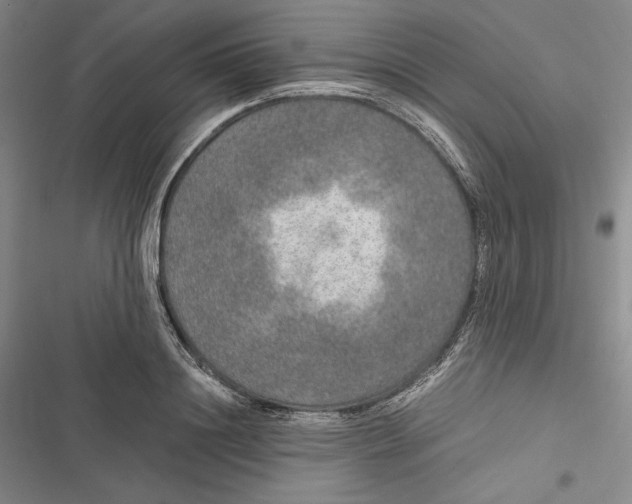 X0000116860844201001121239