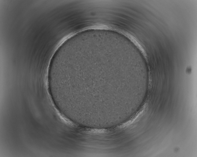 X0000116860845201001121239