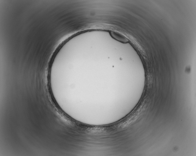 X0000116860846201001121239