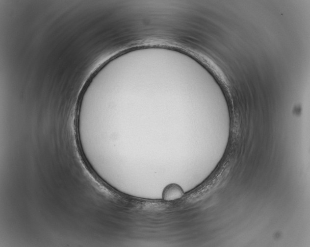 X0000116860847201001121239