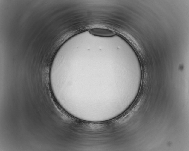 X0000116860849201001121239