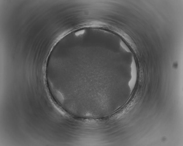 X0000116860850201001121239