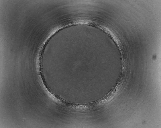 X0000116860851201001121239