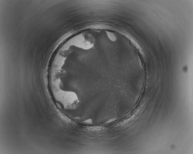 X0000116860853201001121239