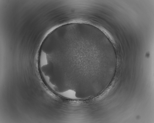 X0000116860854201001121239