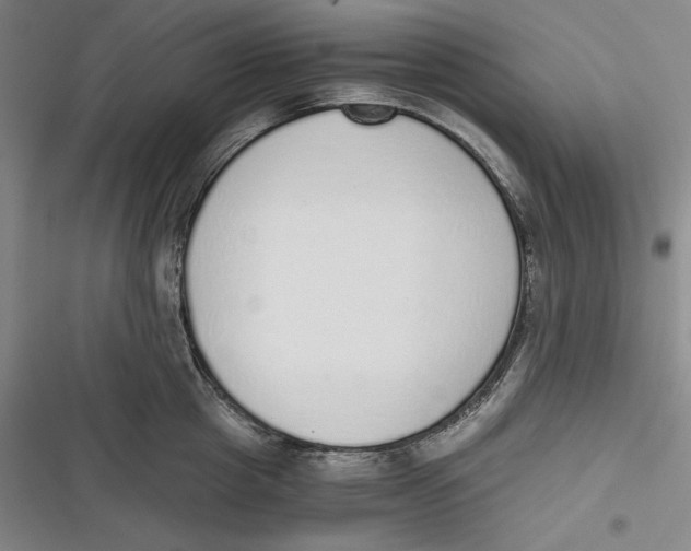 X0000116860857201001121239