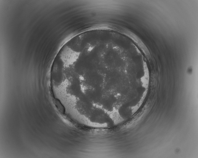 X0000116860858201001121239