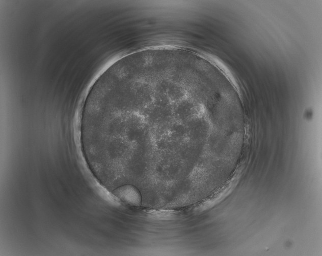 X0000116860859201001121239