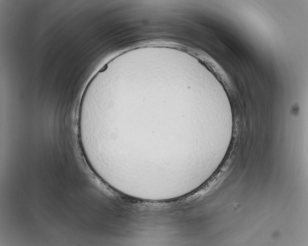 X0000116860860201001121239