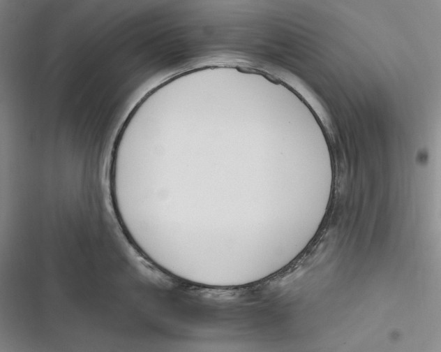 X0000116860861201001121239