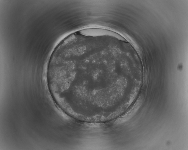 X0000116860862201001121239